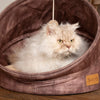 Kensington Cat Bed - Chocolate Cat Bed Scruffs® 