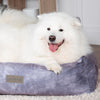 Kensington Box Bed - Grey Dog Bed Scruffs® 