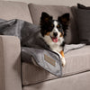 Knightsbridge Blanket - Grey Dog Blanket Scruffs® 