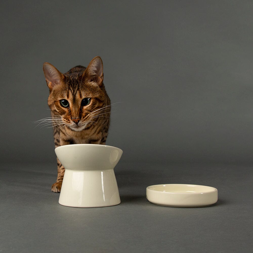 Icon Raised Cat Feeder Bowl & Saucer Set - Cream Pet Bowls, Feeders & Waterers Scruffs® 