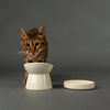 Icon Raised Cat Feeder Bowl & Saucer Set - Cream Pet Bowls, Feeders & Waterers Scruffs® 