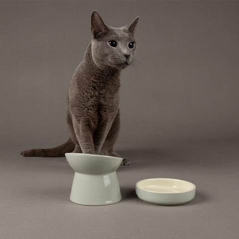 Icon Raised Cat Feeder Bowl & Saucer Set - Light Grey Pet Bowls, Feeders & Waterers Scruffs® 