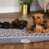 Wilton Mattress - Grey Dog Bed Scruffs® 