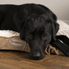 Ellen Dog Mattress - Tan Dog Bed Scruffs® 