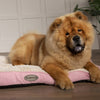 Ellen Dog Mattress - Pink Dog Bed Scruffs® 