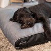 Hilton Memory Foam Orthopaedic Pillow - Grey Dog Bed Scruffs® 