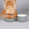 Classic 2 Piece Dog Food & Water Bowl Set - 15cm - Grey Pet Bowls, Feeders & Waterers Scruffs® 