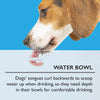 Icon 2 Piece Pet Food & Water Bowl Set - 15cm - Cream Pet Bowls, Feeders & Waterers Scruffs® 