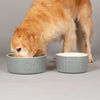 Classic 2 Piece Dog Food & Water Bowl Set - 25cm | 20cm - Grey Pet Bowls, Feeders & Waterers Scruffs® 