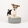 Classic 2 Piece Dog Food & Water Bowl Set - 25cm | 20cm - Grey Pet Bowls, Feeders & Waterers Scruffs® 