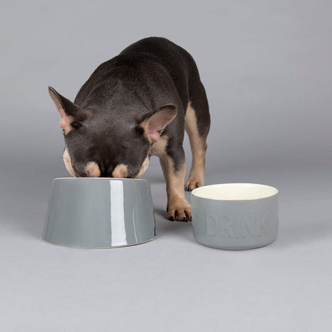 Classic 2 Piece Flat Faced Dog Bowl & Water Bowl - 15cm | 18cm - Grey Pet Bowls, Feeders & Waterers Scruffs® 