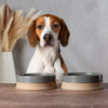 Scandi Dog Bowl Set in Grey - Ceramic Pet Bowl - Scruffs