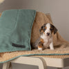 Snuggle Blanket - Sage Green Dog Blanket Scruffs® 