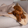 Snuggle Blanket - Desert Sand Dog Blanket Scruffs® 