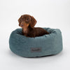 Oslo Ring Bed - Lake Teal Dog Bed Scruffs® 