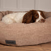 Oslo Ring Bed - Desert Sand Dog Bed Scruffs® 