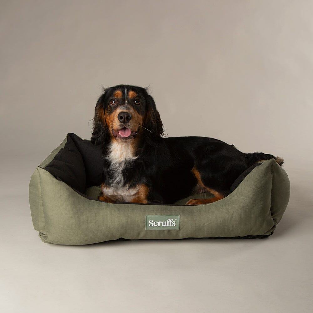 Expedition Box Bed - Khaki Green Scruffs® 