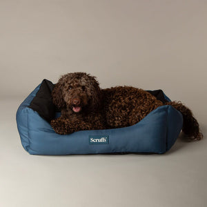 Expedition Box Bed - Atlantic Blue Dog Bed Scruffs® 