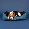 Expedition Box Bed - Atlantic Blue Dog Bed Scruffs 