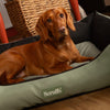 Expedition Box Bed - Khaki Green Scruffs® 