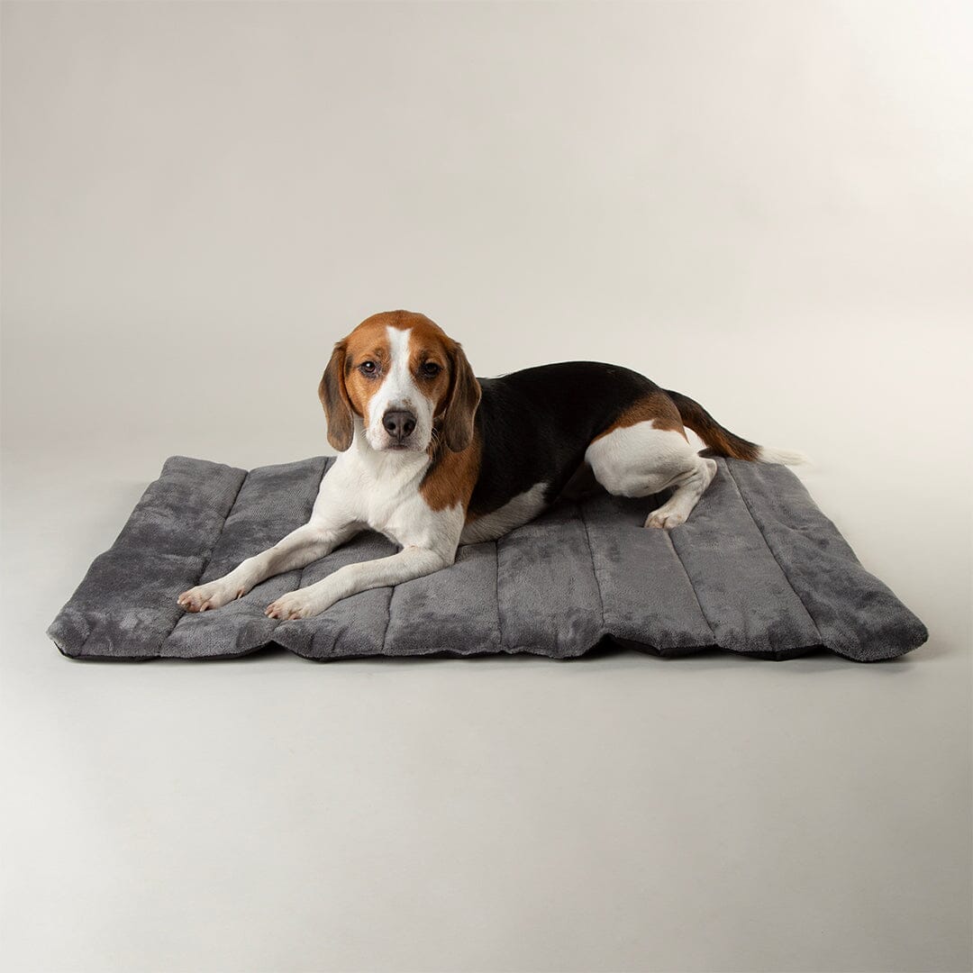 Expedition Roll Up Travel Pet Bed - Storm Grey Dog Bed Scruffs® 