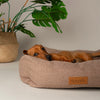 Seattle Box Bed - Sienna Brown Dog Bed Scruffs® 