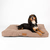 Seattle Mattress - Sienna Brown Dog Bed Scruffs® 