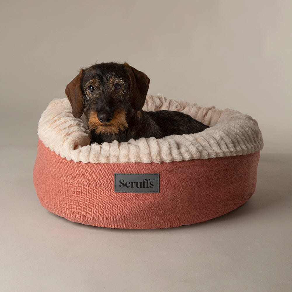 Ellen Donut Bed - Terracotta Red Dog Bed Scruffs® 