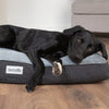 Harvard Memory Foam Mattress - Graphite Grey Dog Bed Scruffs® 