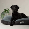 Harvard Memory Foam Mattress - Graphite Grey Dog Bed Scruffs® 