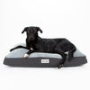 Harvard Memory Foam Mattress - Graphite Grey Dog Bed Scruffs® 