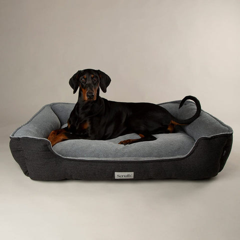 Harvard Memory Foam Box Bed - Graphite Grey Dog Bed Scruffs® 