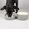 Classic 2 Piece Dog Slow Feeder & Water Bowl Set - 20cm - Grey Pet Bowls, Feeders & Waterers Scruffs® 