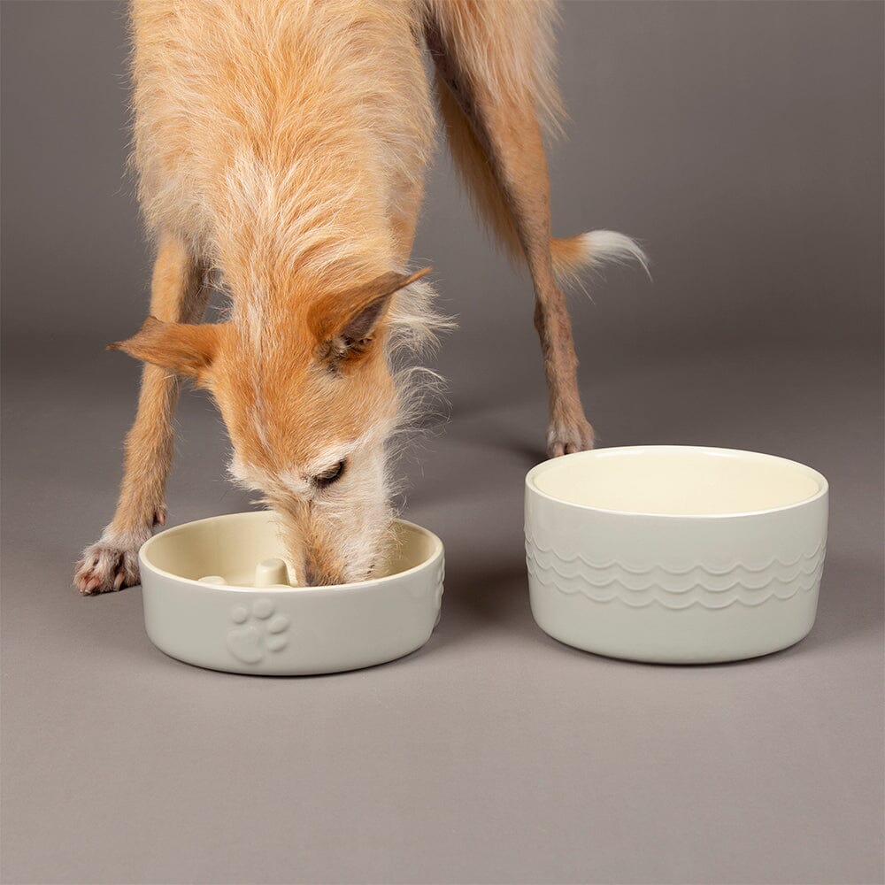 Icon 2 Piece Dog Slow Feeder & Water Bowl Set - 20cm - Light Grey Pet Bowls, Feeders & Waterers Scruffs® 