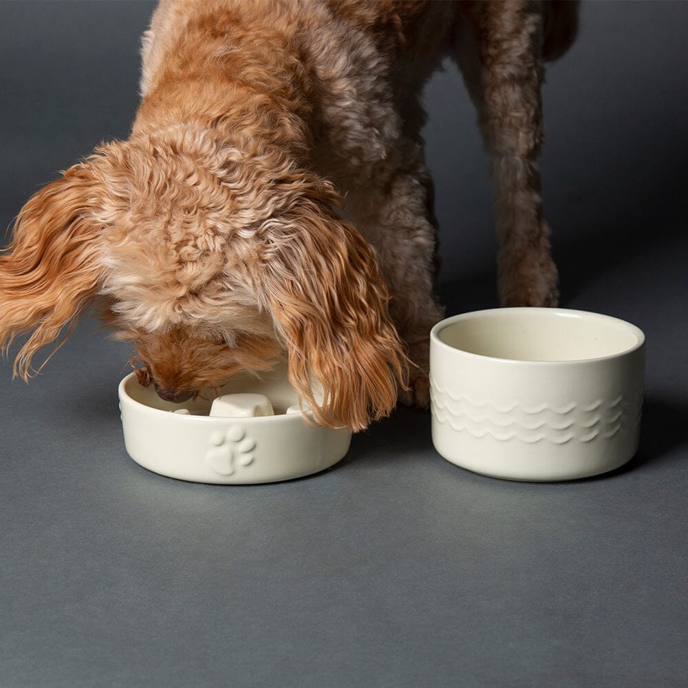 Icon 2 Piece Dog Slow Feeder & Water Bowl Set - 16cm | 15cm - Cream Pet Bowls, Feeders & Waterers Scruffs® 