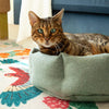 Eden Cat Bed - Sage Green Cat Bed Scruffs® 