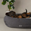 Eden Box Bed - Charcoal Grey Dog Beds Scruffs® 