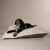 Eden Pillow Bed - Charcoal Grey Dog Beds Scruffs® 