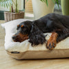 Eden Pillow Bed - Cream Dog Beds Scruffs® 