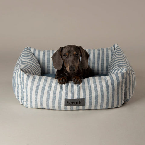 Coastal Box Bed - Blue Dog Beds Scruffs® 