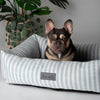 Coastal Box Bed - Green Dog Beds Scruffs® 