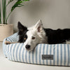 Coastal Box Bed - Blue Dog Beds Scruffs® 