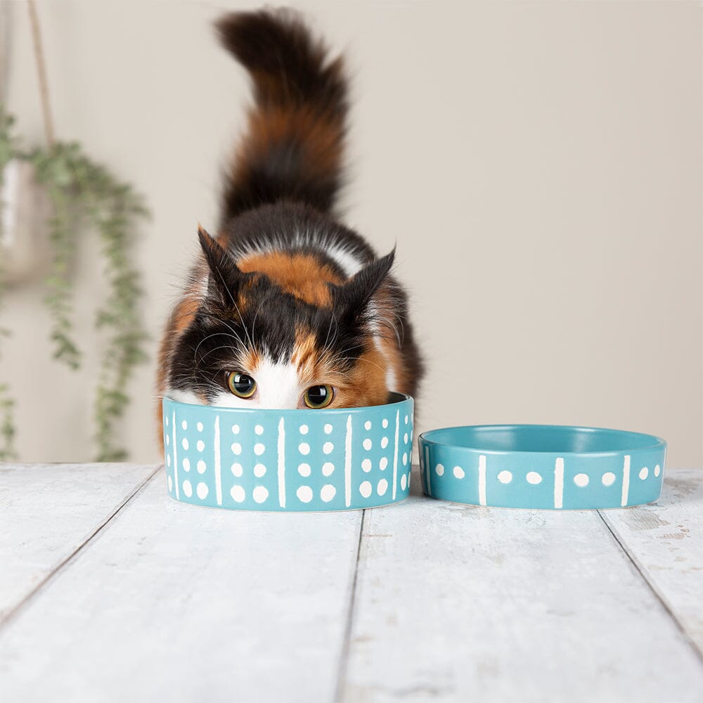 Aztec 2 Piece Cat Food Bowl & Saucer Set - Turquoise Blue Pet Bowls, Feeders & Waterers Scruffs® 