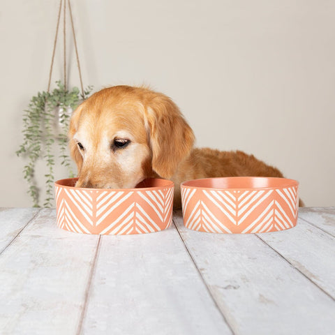 Aztec 2 Piece Dog Food & Water Bowl Set - Terracotta Orange Pet Bowls, Feeders & Waterers Scruffs® 