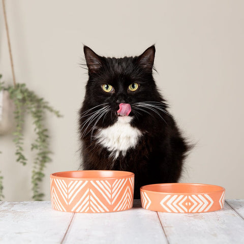 Aztec 2 Piece Cat Food Bowl & Saucer Set - Terracotta Orange Pet Bowls, Feeders & Waterers Scruffs® 