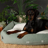 Eden Box Bed - Sage Green Dog Beds Scruffs® 