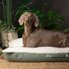 Eden Pillow Bed - Sage Green Dog Beds Scruffs® 