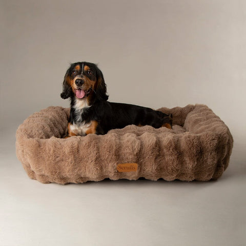 Alpine Box Bed - Taupe Dog Beds Scruffs® 