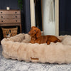 Alpine Dog Bed - Large Dog Bed modelled by Tarka a Spaniel Cross