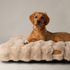 Alpine Mattress - Champagne Dog Beds Scruffs® 